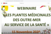 Le webinaire des plantes médicinales d'outre-mer est sur YouTube Le webinaire des plantes médicinales d'outre-mer est sur YouTube