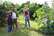 Une journée à Tomo Une journée à Tomo