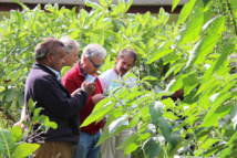 Une journée à Tomo Une journée à Tomo