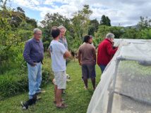 Une journée à Tomo Une journée à Tomo
