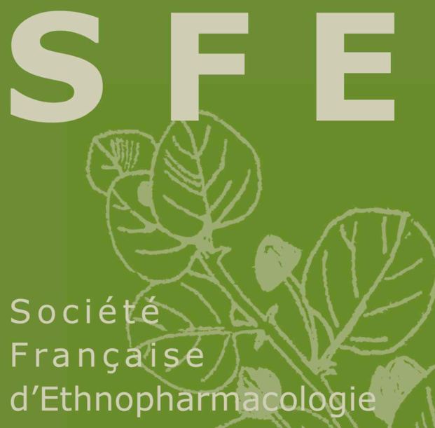 Plantes médicinales et médecines du 21ème siècle Plantes médicinales et médecines du 21ème siècle