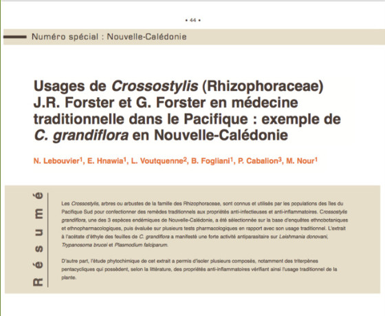 Usages de Crossostylis (Rhizophoraceae) J.R. Forster et G. Forster en médecine traditionnelle dans le Pacifique Usages de Crossostylis (Rhizophoraceae) J.R. Forster et G. Forster en médecine traditionnelle dans le Pacifique