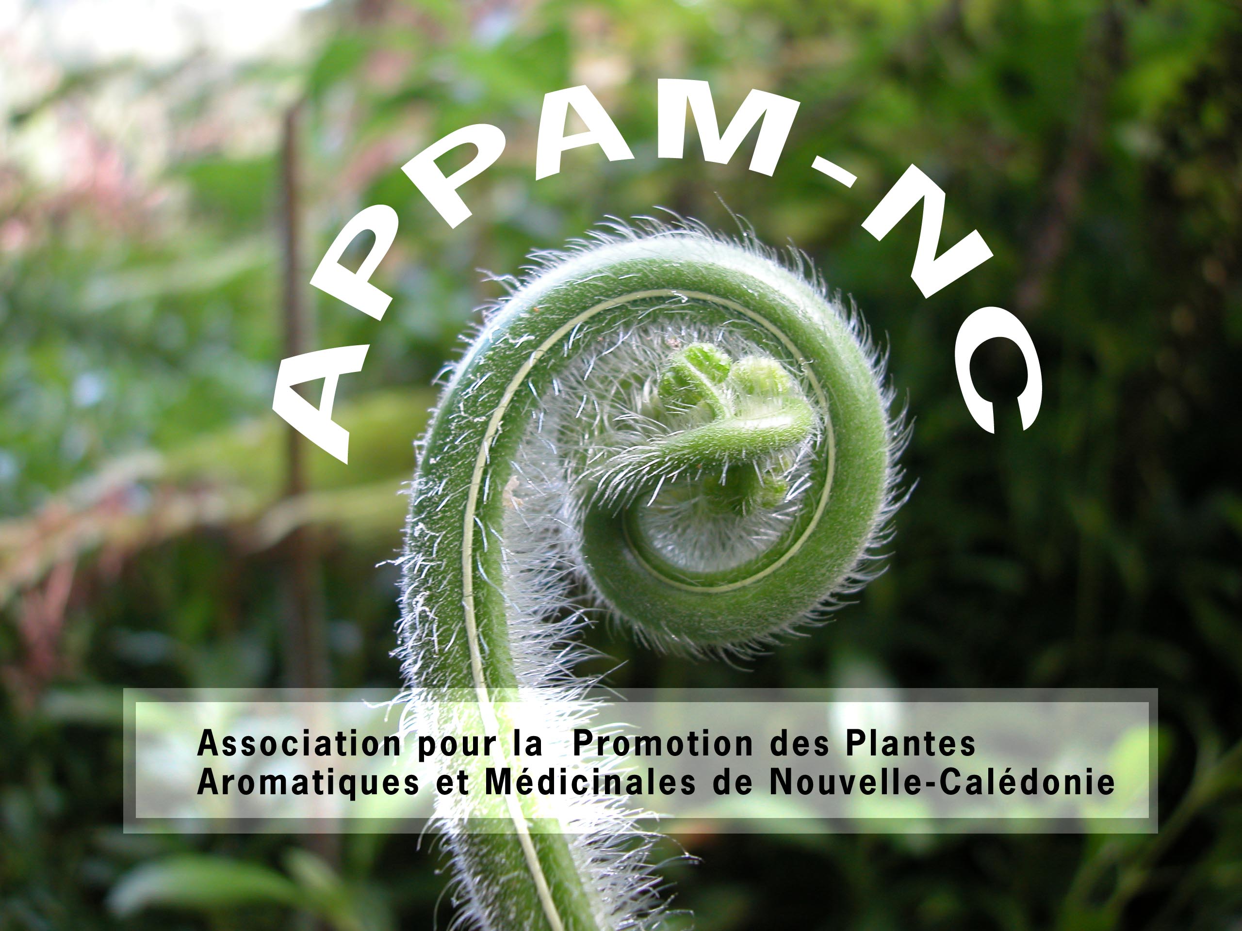 Bienvenue sur le site de l'APPAM Bienvenue sur le site de l'APPAM