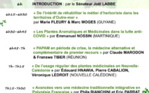 WEBINAIRE "LES PLANTES MEDICINALES DES OUTRE-MER" WEBINAIRE "LES PLANTES MEDICINALES DES OUTRE-MER"