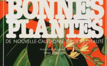 Bonnes plantes de Nouvelle-Calédonie Bonnes plantes de Nouvelle-Calédonie