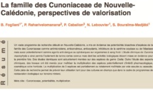 La famille des Cunoniaceae de Nouvelle- Calédonie, perspectives de valorisation La famille des Cunoniaceae de Nouvelle- Calédonie, perspectives de valorisation